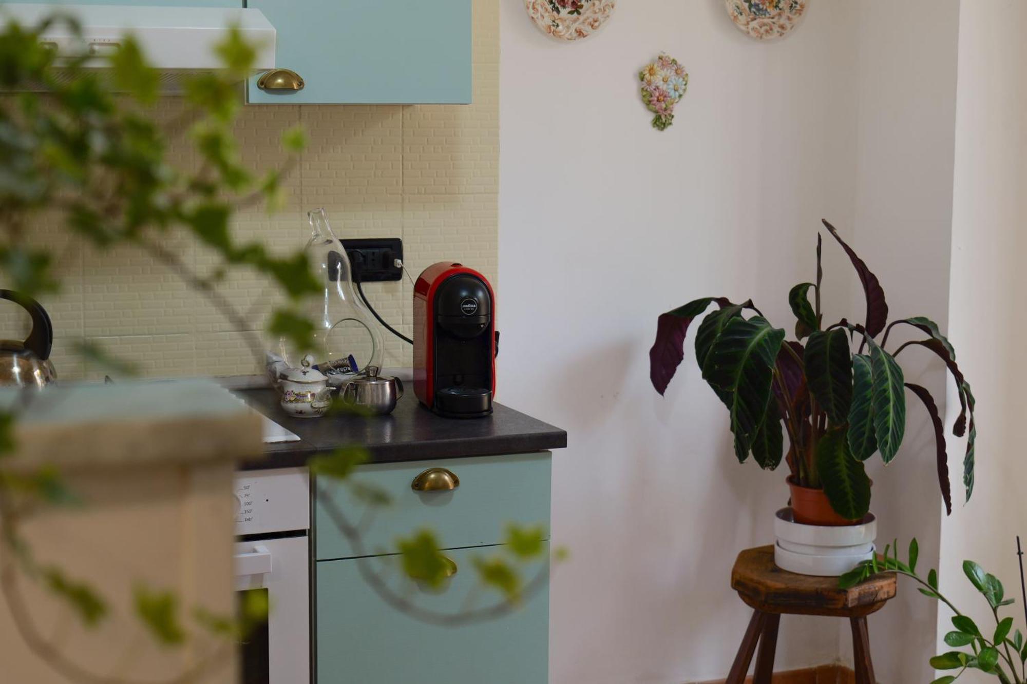 Coli'S House Bed & Breakfast Turin Ngoại thất bức ảnh