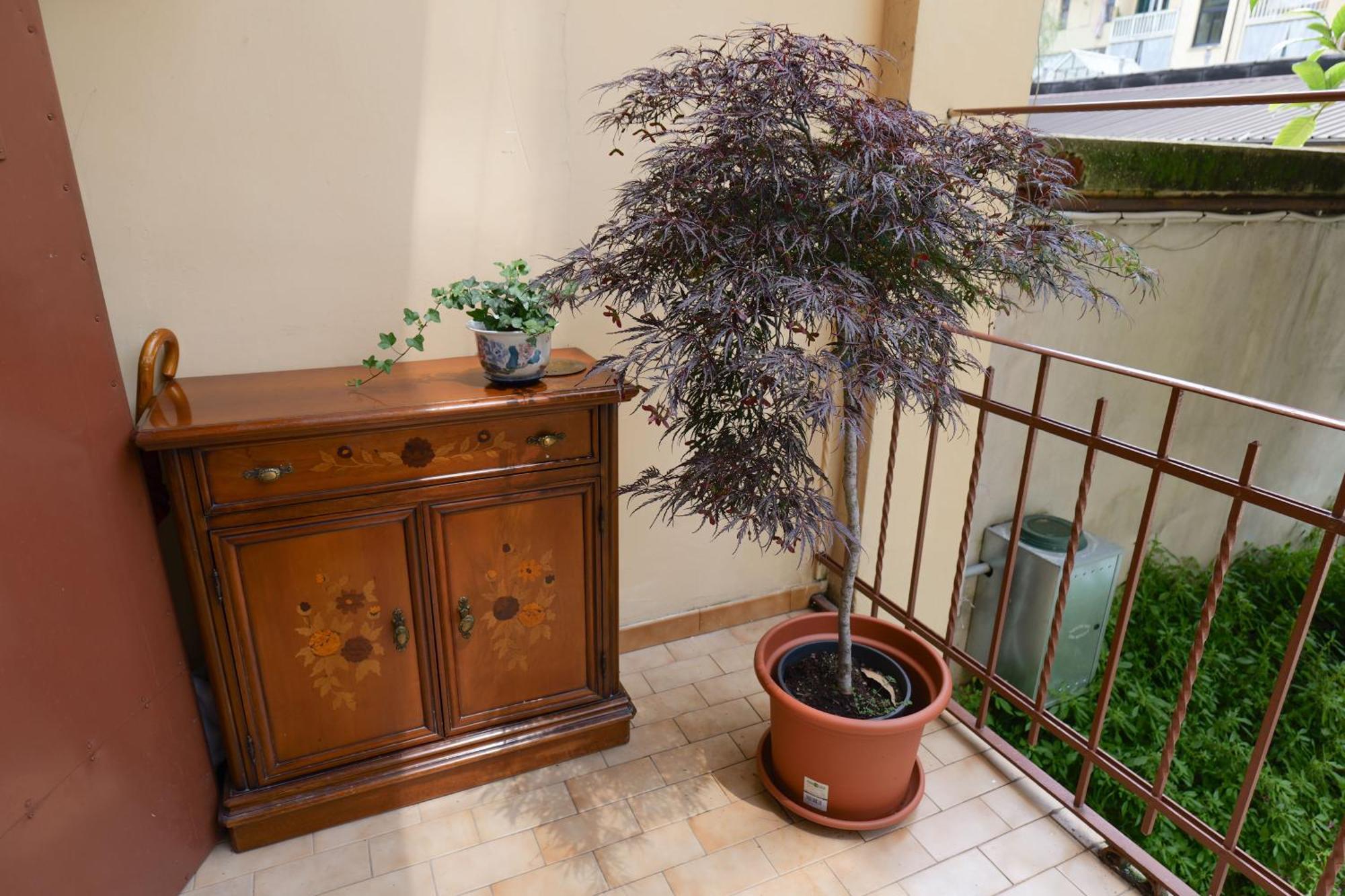 Coli'S House Bed & Breakfast Turin Ngoại thất bức ảnh